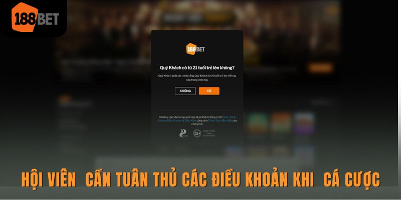 Chi tiết từ A đến Z điều khoản sử dụng của nhà cái 188BET 2 Hội viên của 188BET cần tuân thủ các điều khoản khi tham gia cá cược